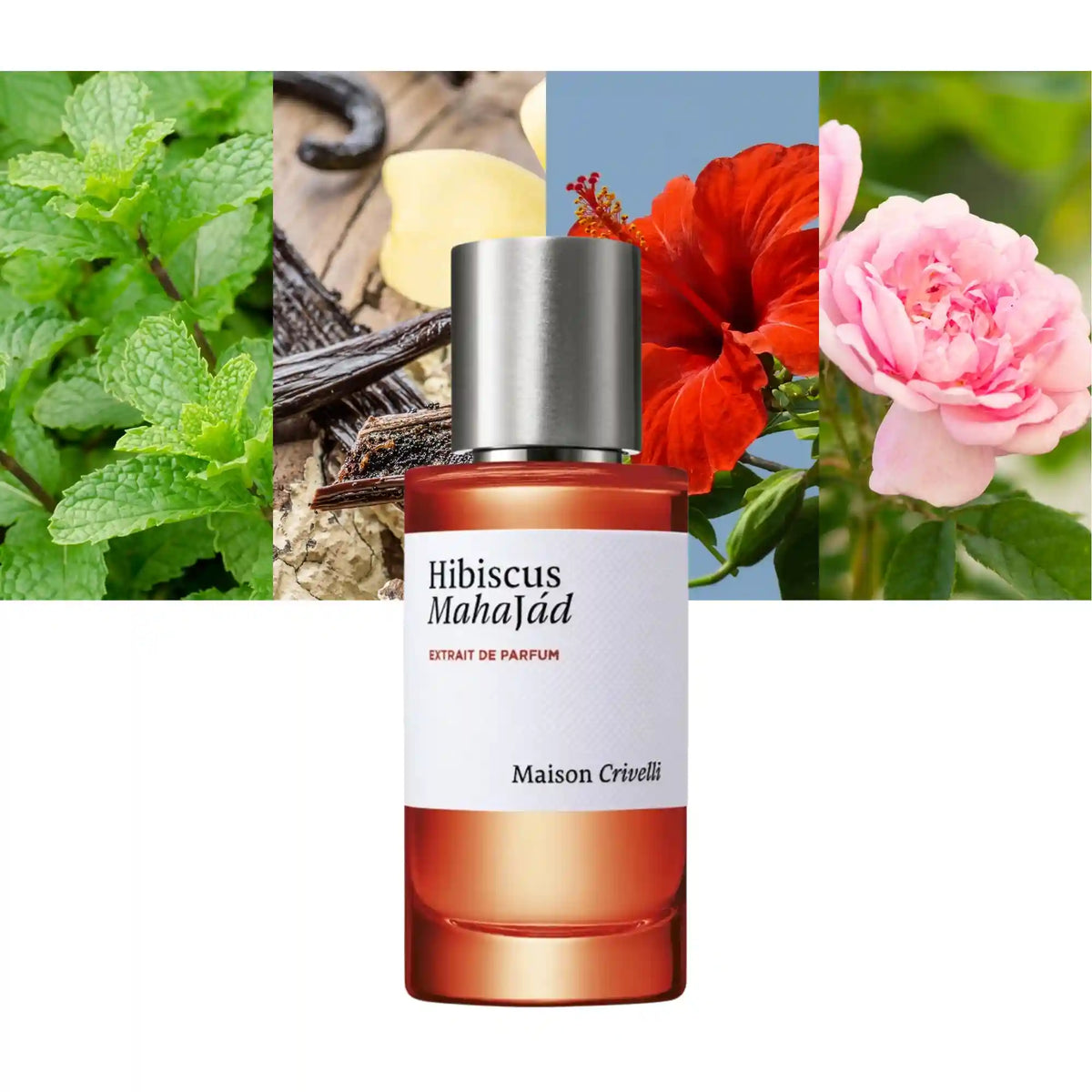 Maison Crivelli Hibiscus Mahajad