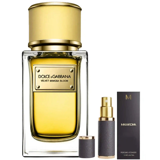 Dolce & Gabbana Velvet Mimosa Bloom for Women