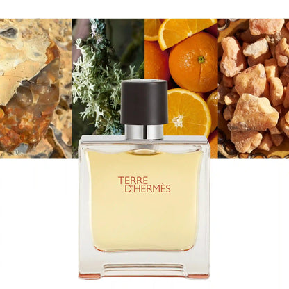 Hermes Terre D'hermes Pure Parfum