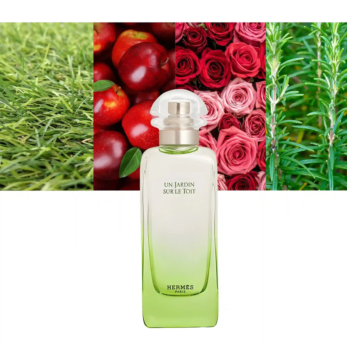 Hermes Un Jardin Sur Le Toit
