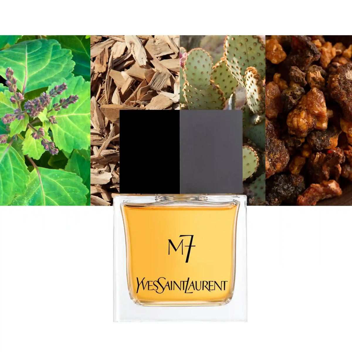 Yves Saint Laurent M7 for Men