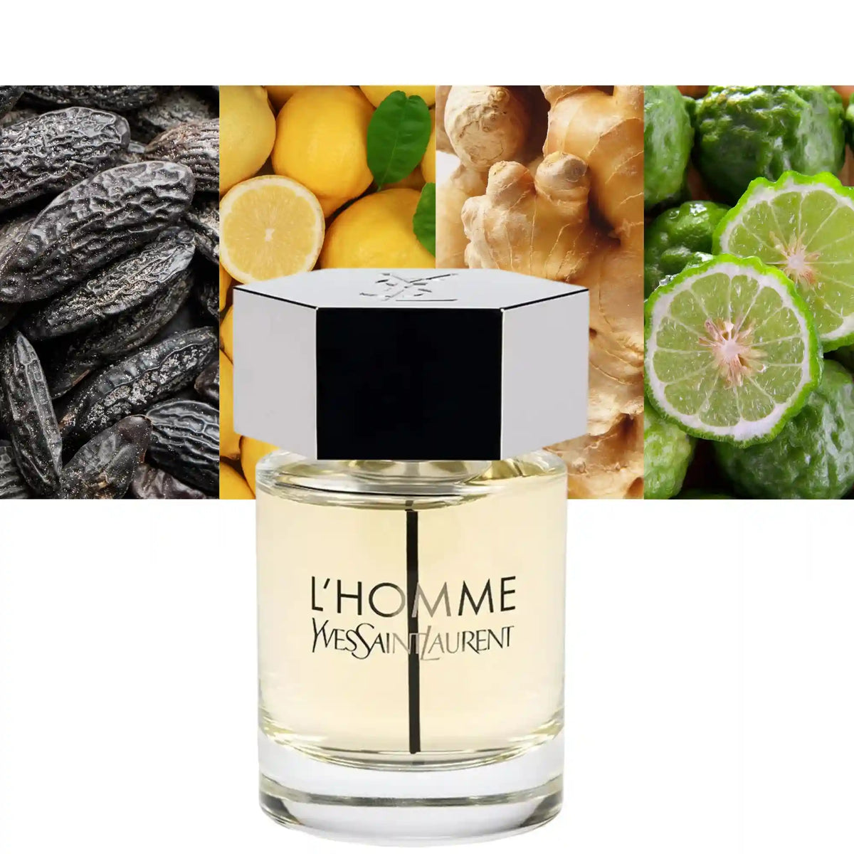Yves Saint Laurent L'homme