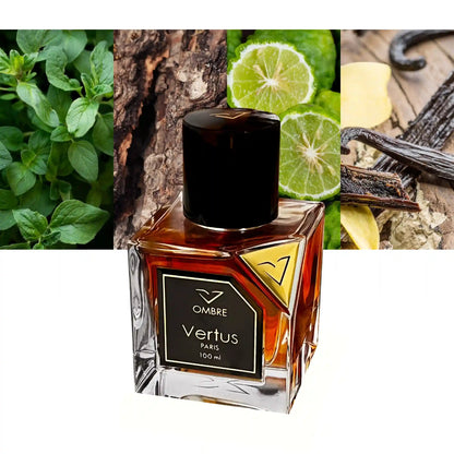 Vertus Paris Ombre