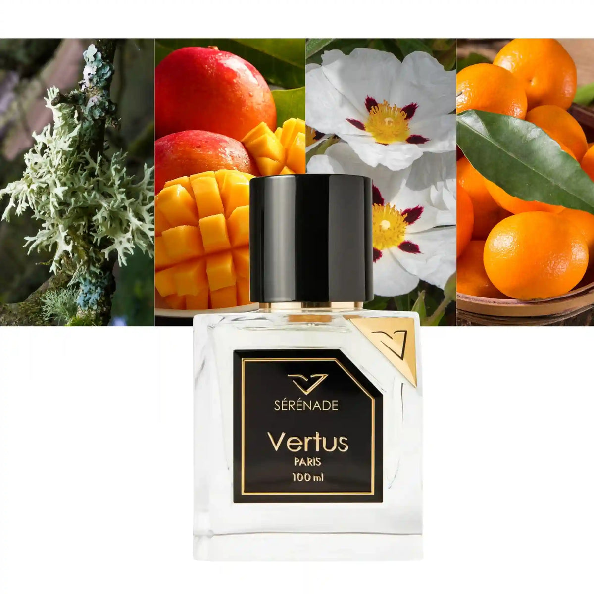Vertus Paris Serenade