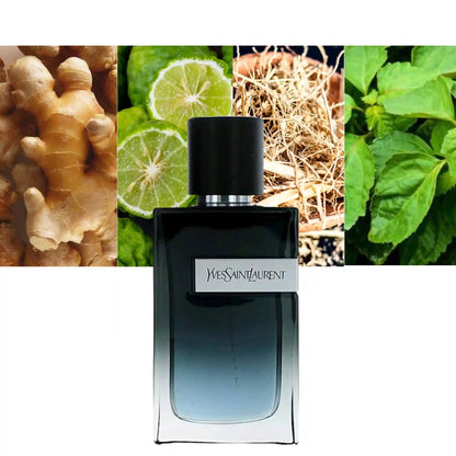 Yves Saint Laurent Y