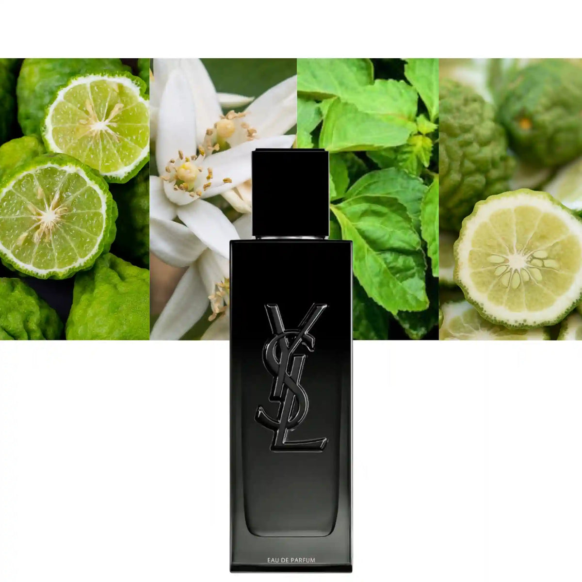 Yves Saint Laurent Myslf