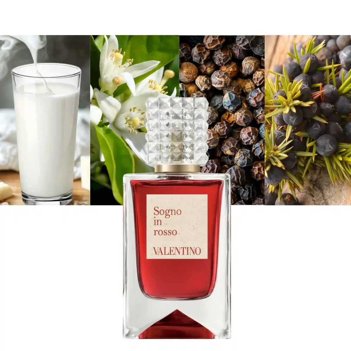Valentino Sogno In Rosso