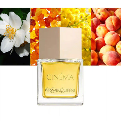 Yves Saint Laurent Cinema