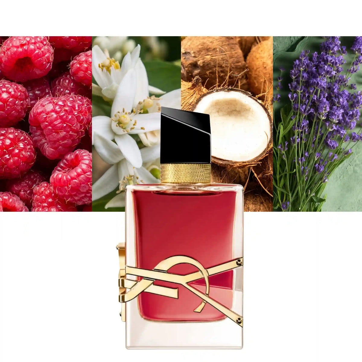 Yves Saint Laurent Libre Berry Crush