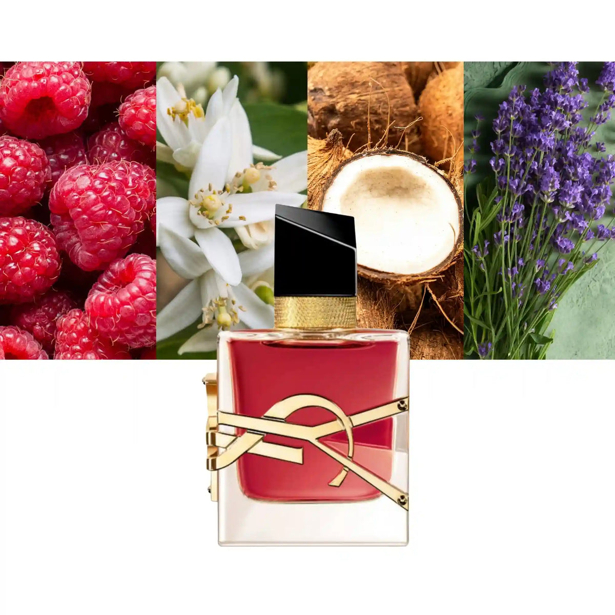 Yves Saint Laurent Libre Berry Crush