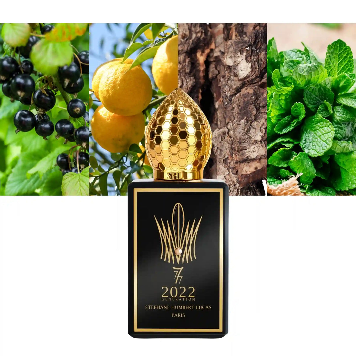 Stephane Humbert Lucas 2022 Generation Black
