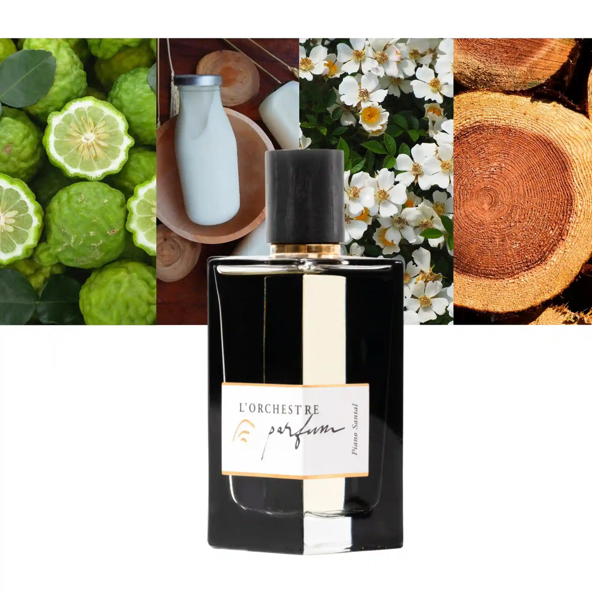 L'Orchestre Parfum Piano Santal