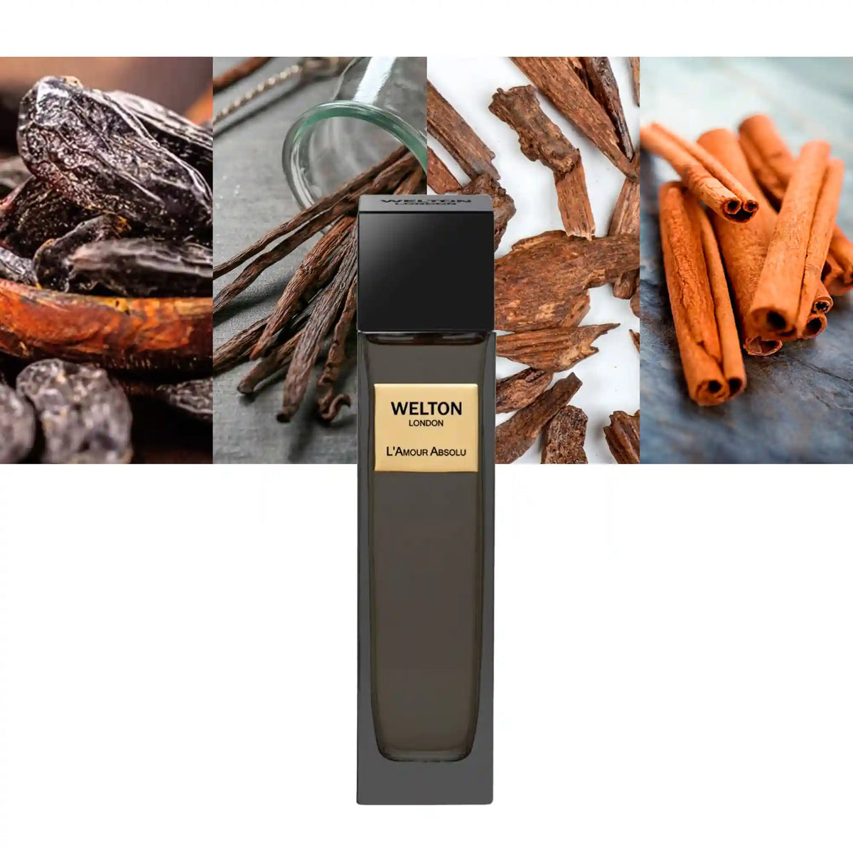 Welton London L Amour Absolu