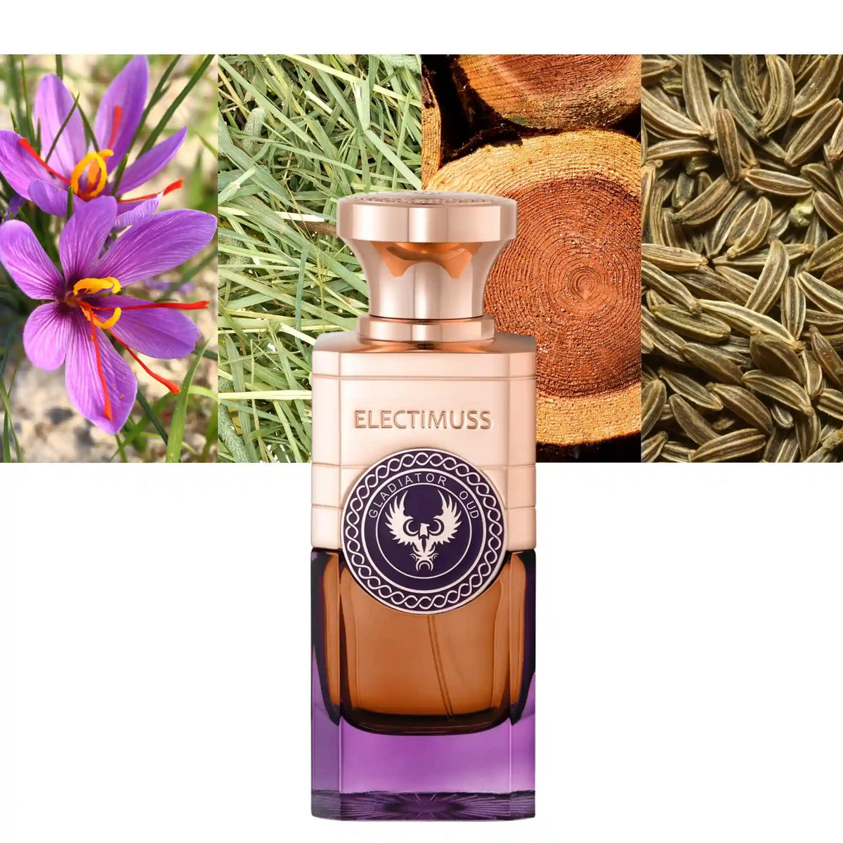 Electimuss Gladiator Oud