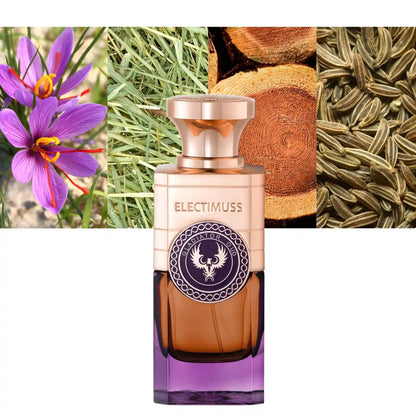 Electimuss Gladiator Oud