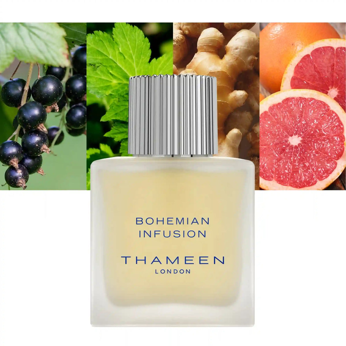 Thameen Bohemian Infusion