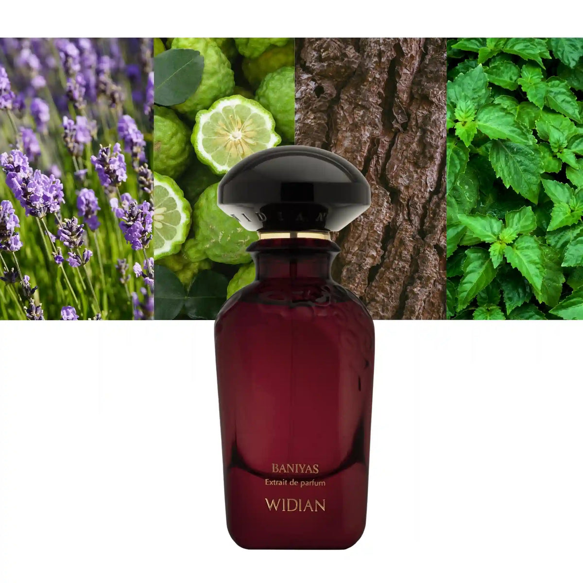 Widian Baniyas Extrait de Parfum