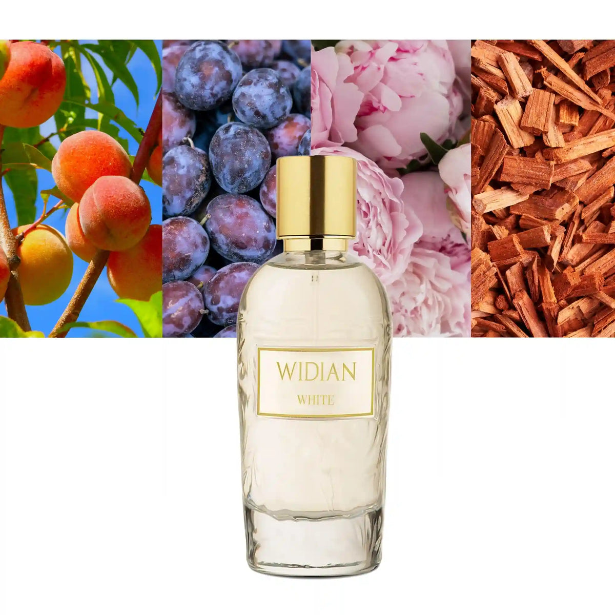 Widian White