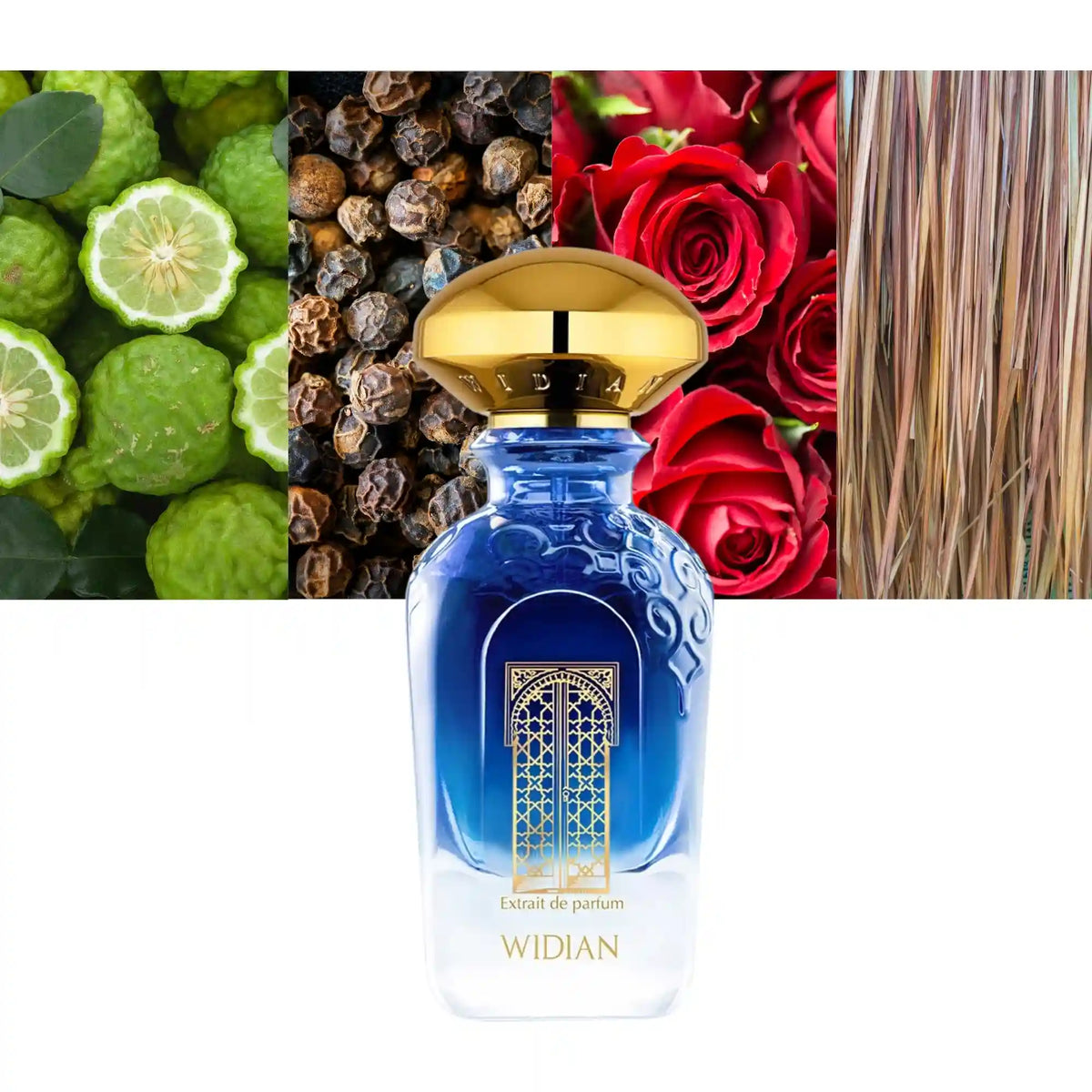 Widian Granada Sapphire Collection