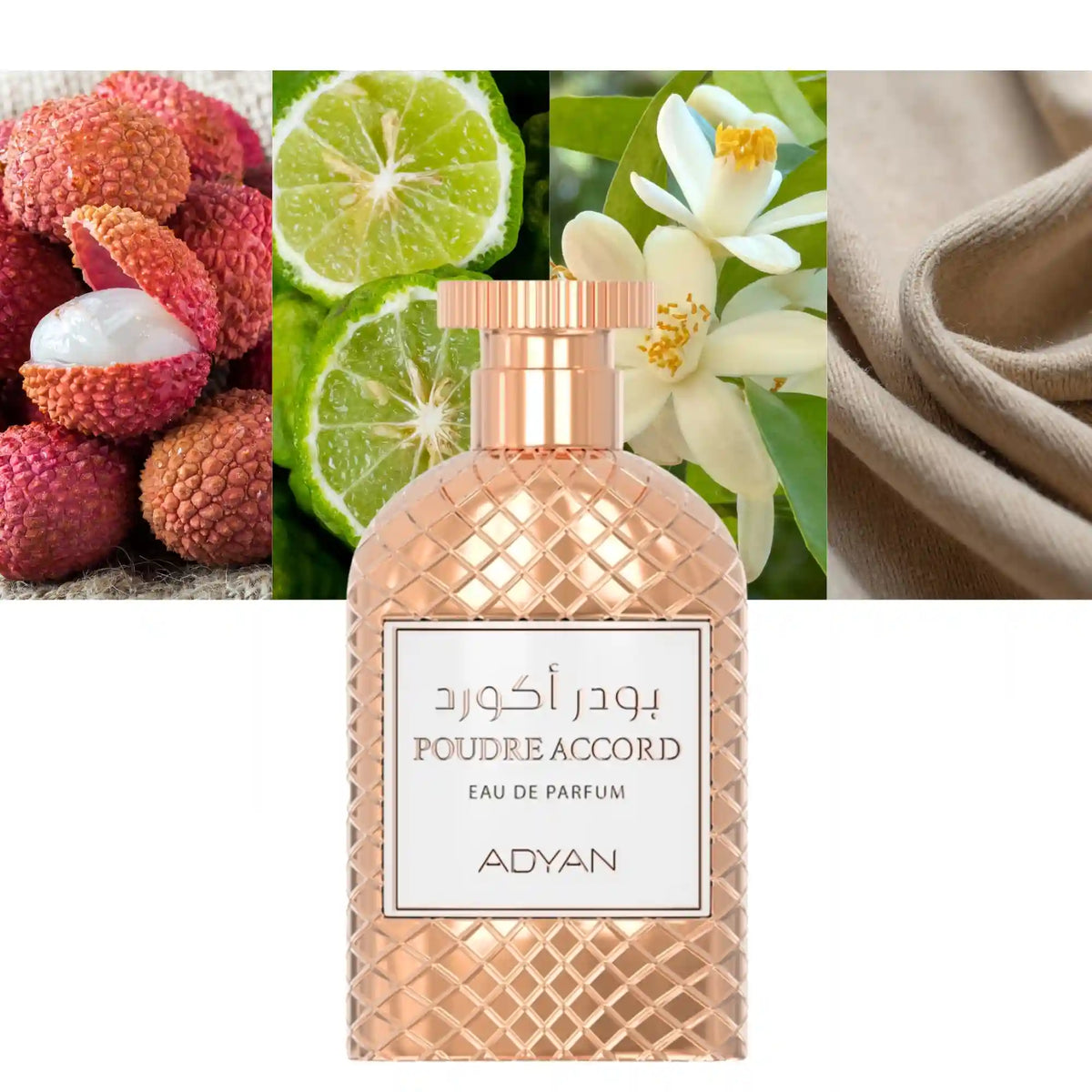Adyan Poudre Accord