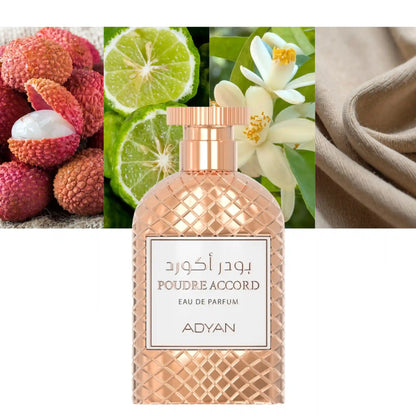 Adyan Poudre Accord