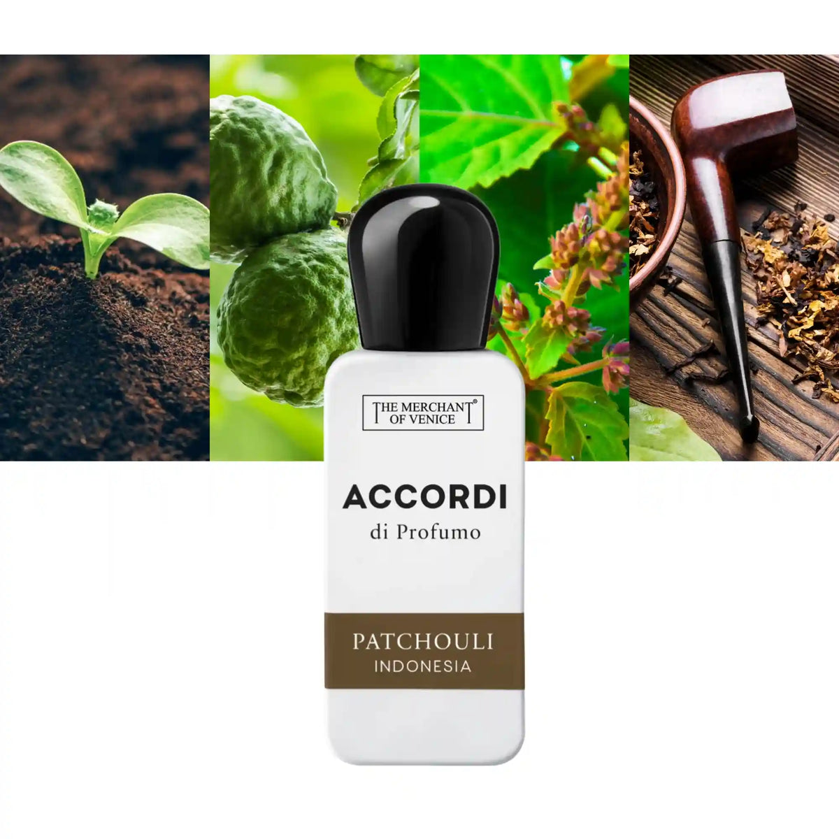 The Merchant of Venice Accordi Di Profumo Patchouli Indonesia