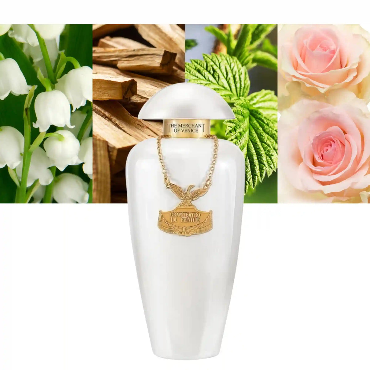 The Merchant of Venice My Pearls