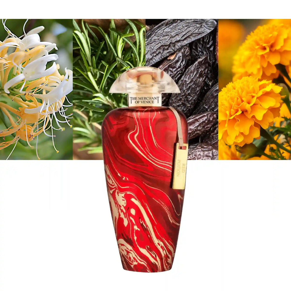 The Merchant of Venice Red Potion