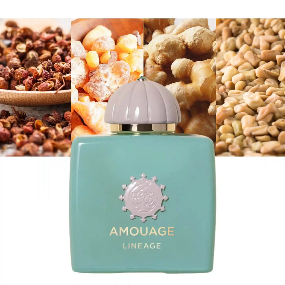 Amouage Lineage