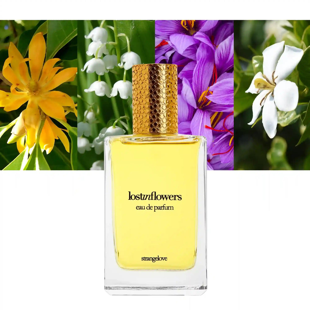 Strangelove NYC Lost In Flowers