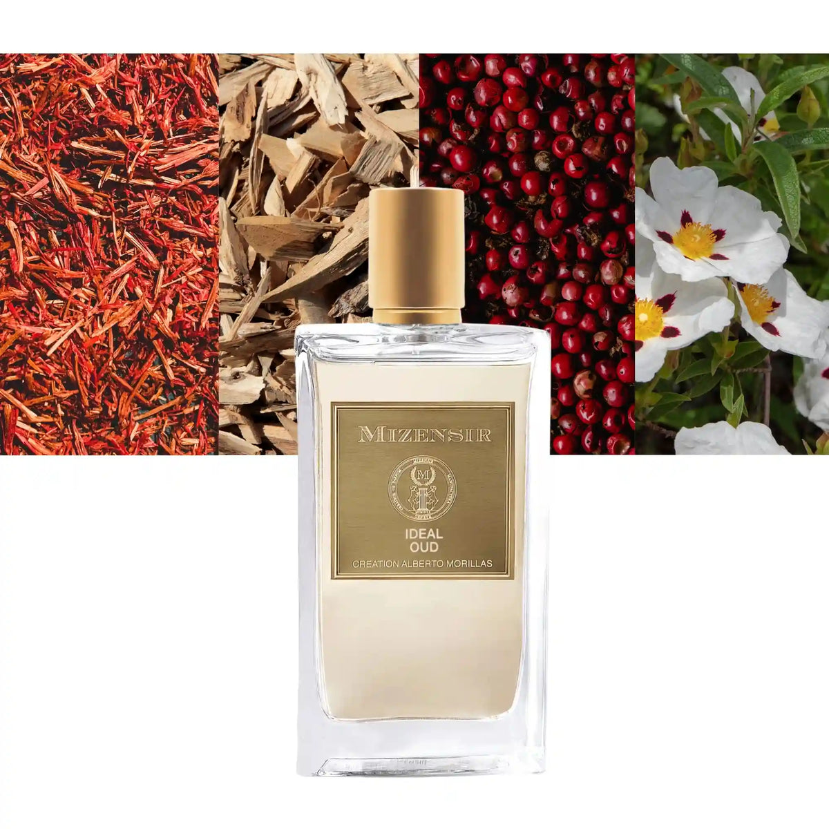 MIizensir Ideal Oud