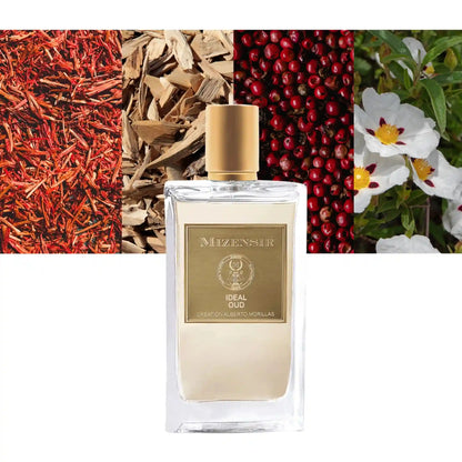 MIizensir Ideal Oud