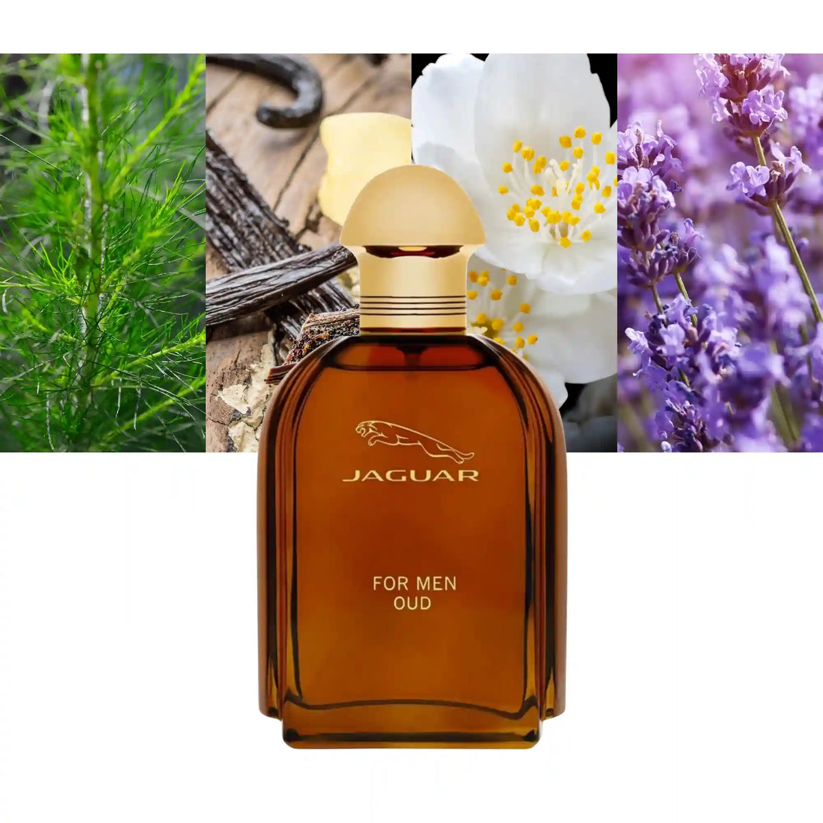 Jaguar For Men Oud