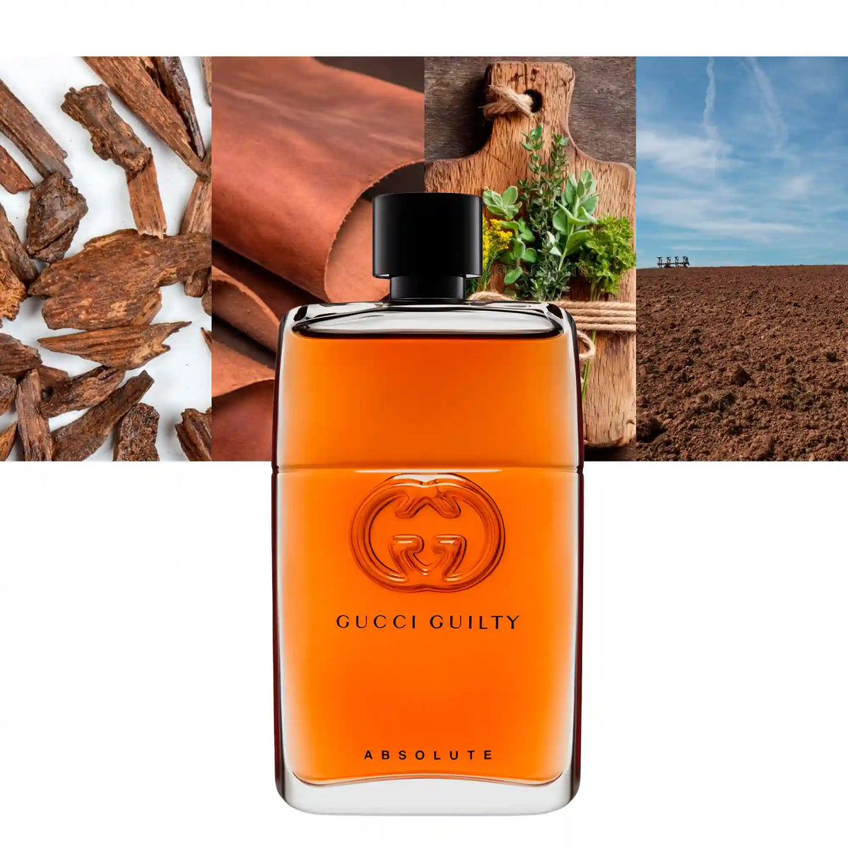 Gucci Guilty Absolute