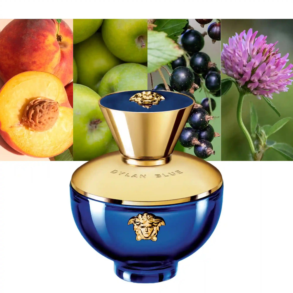 Versace Dylan Blue