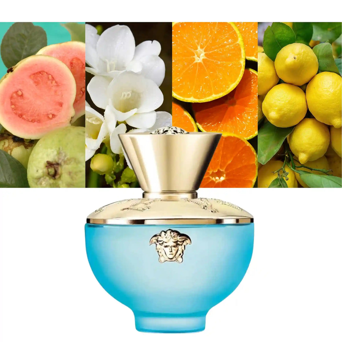 Versace Dylan Turquoise