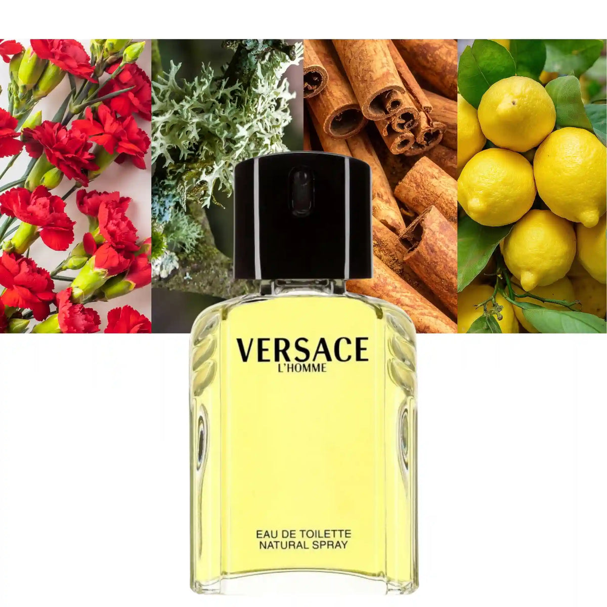 Versace L'homme for Men