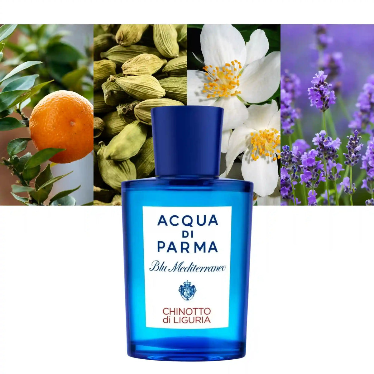 Acqua Di Parma Blu Mediterraneo Chinotto di Liguria