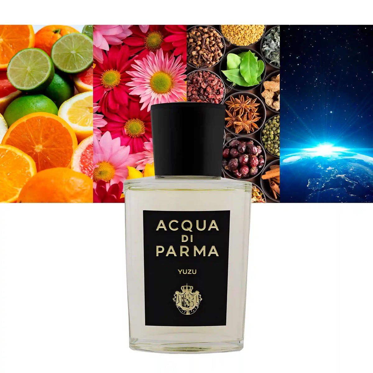 Acqua Di Parma Yuzu