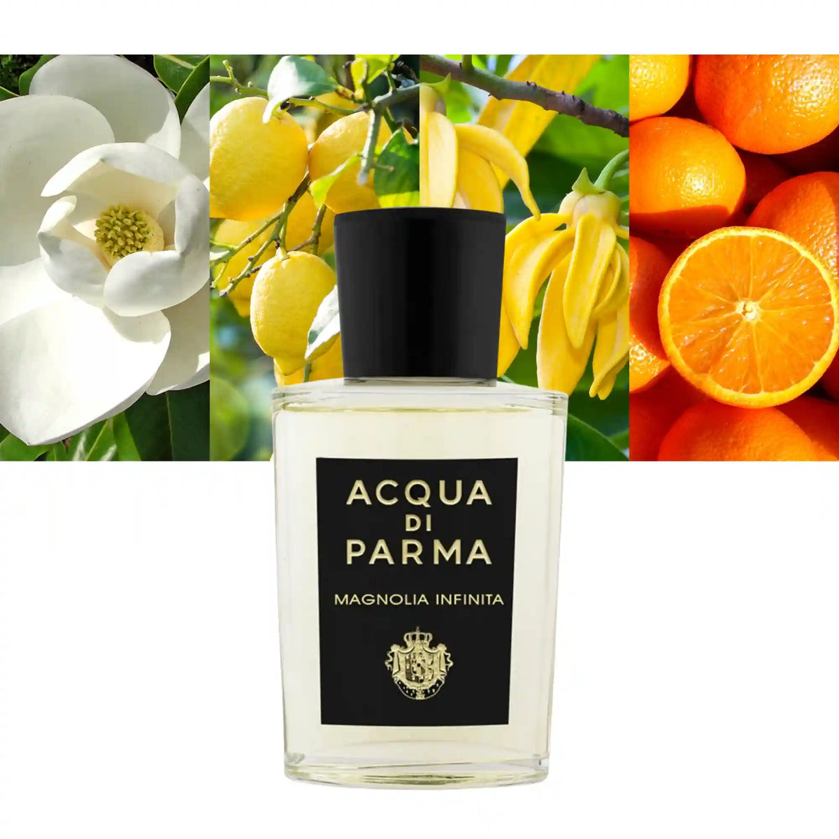 Acqua Di Parma Signatures Of The Sun Magnolia Infinita