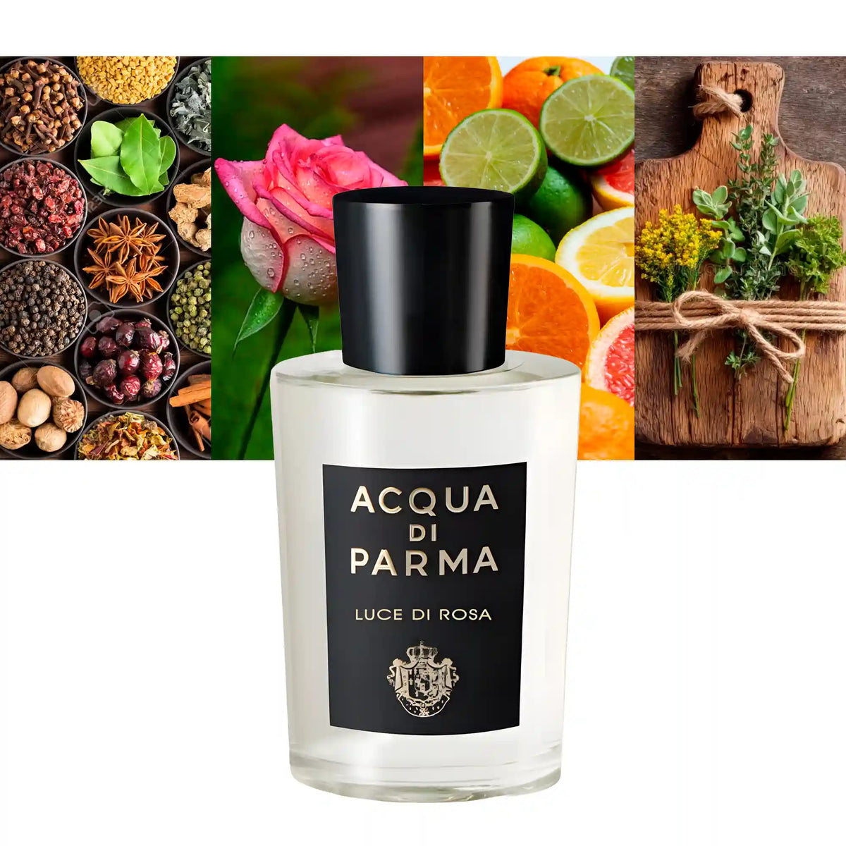 Acqua Di Parma Signaures Of The Sun Luce Di Rosa
