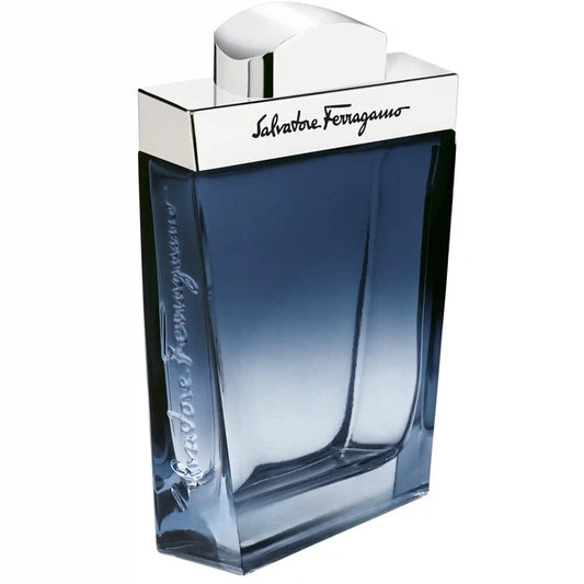 Subtil Homme Salvatore Ferragamo