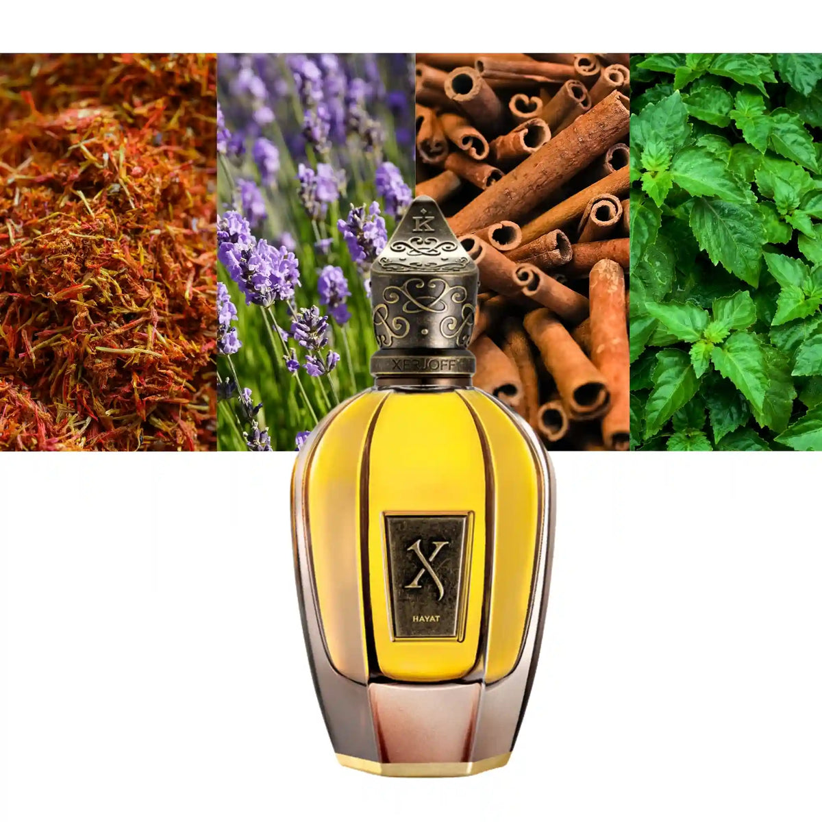 Xerjoff Hayat Parfum