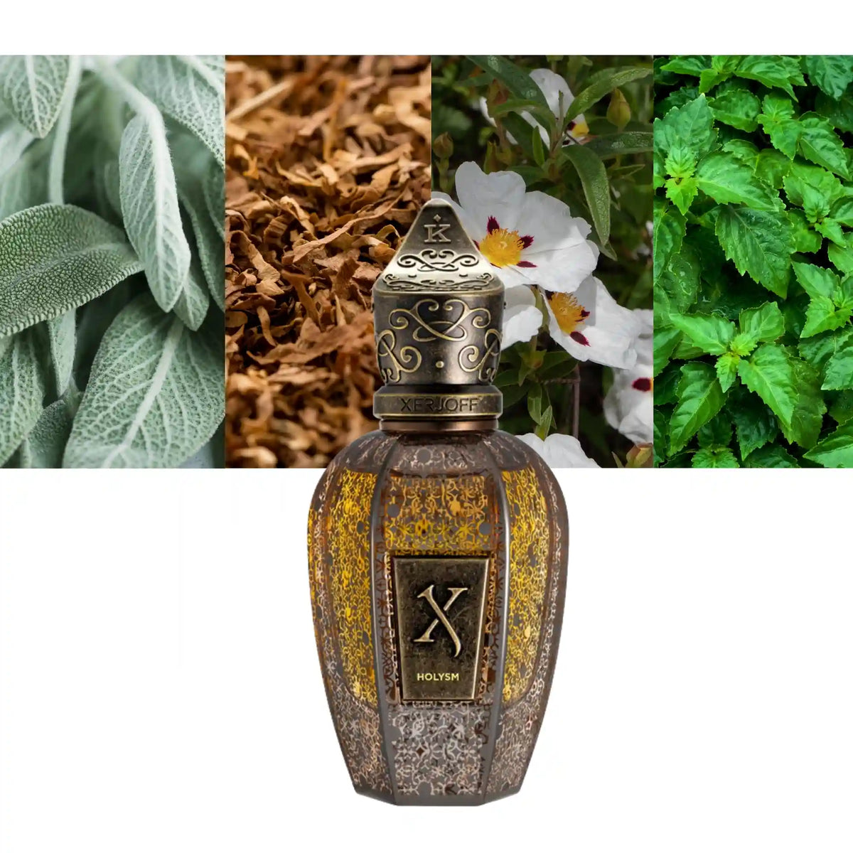 Xerjoff Holysm Parfum