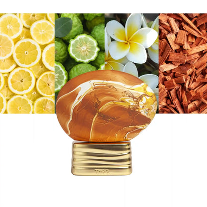 The House of Oud Hidden Shades