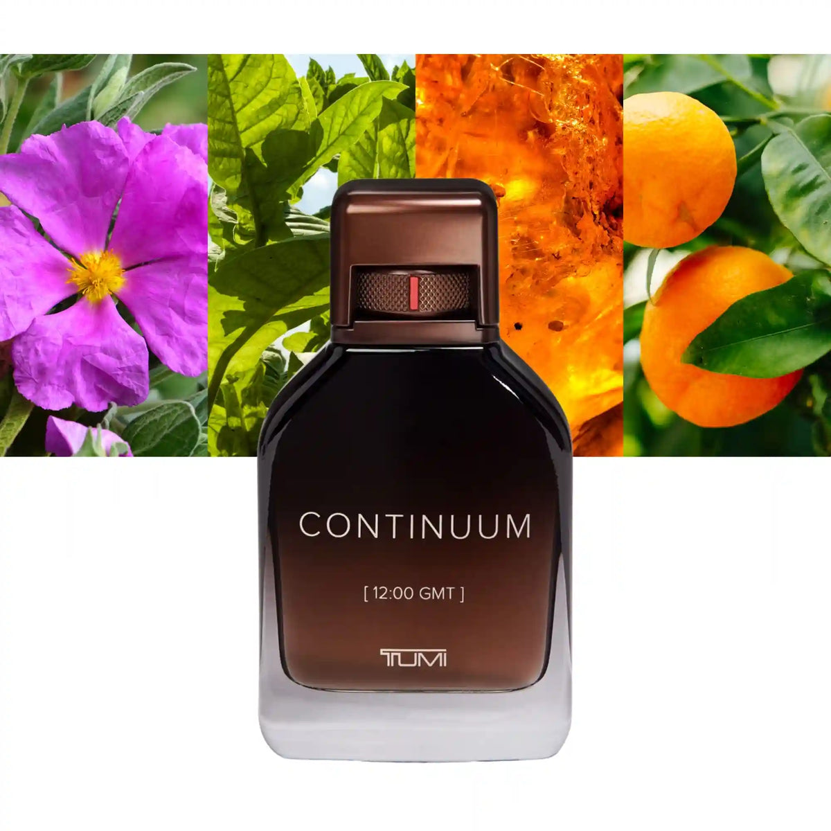 Tumi Continuum