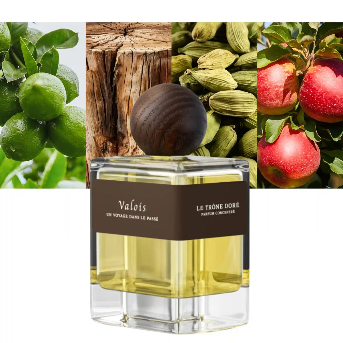 Valois Parfums Le Trone Dore